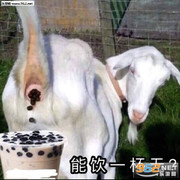 伤痛自己扛不再留恋海报
