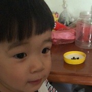 无名小夜夜