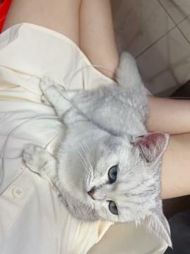 小小♥休主播照片
