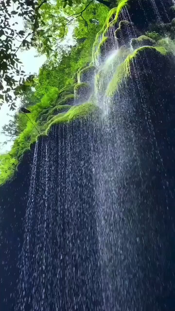 有没有旅游的