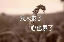 伊人998的图片