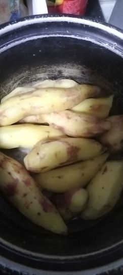 👋掏~主播照片