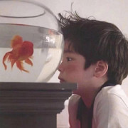 心伤难治