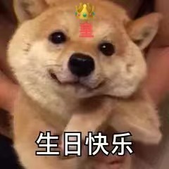 ♚~小巴豆~贪财好色的图片