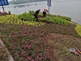 狂喜的雁南飞主播照片