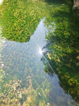 唔～飞机主播照片