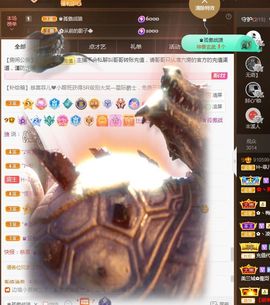 菲儿💗好运来🌈的图片