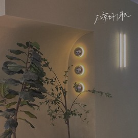 萌新仙人球~主播照片