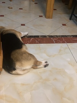 是阿紫呀主播照片