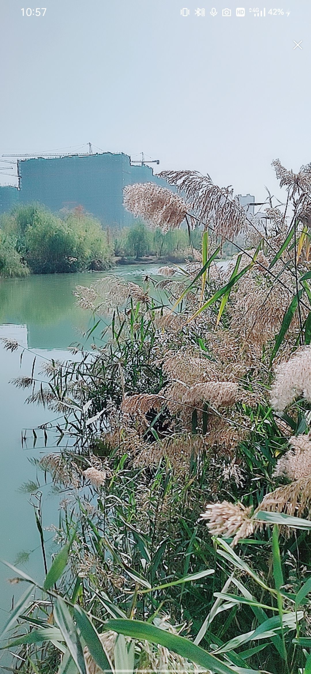 婷婷祝大家五一快乐的图片