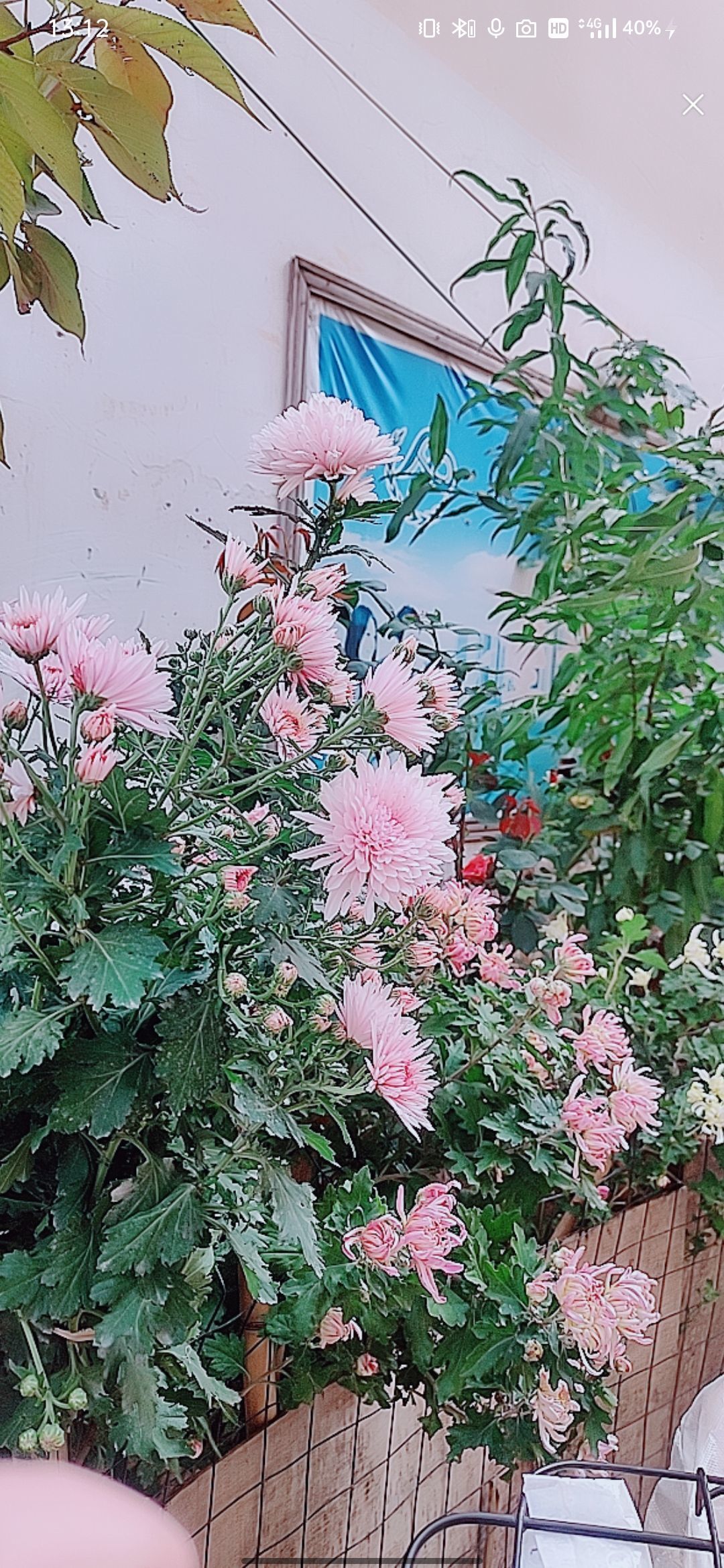 婷婷祝大家五一快乐的图片