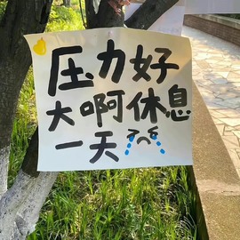 奶酪跌倒啦主播照片