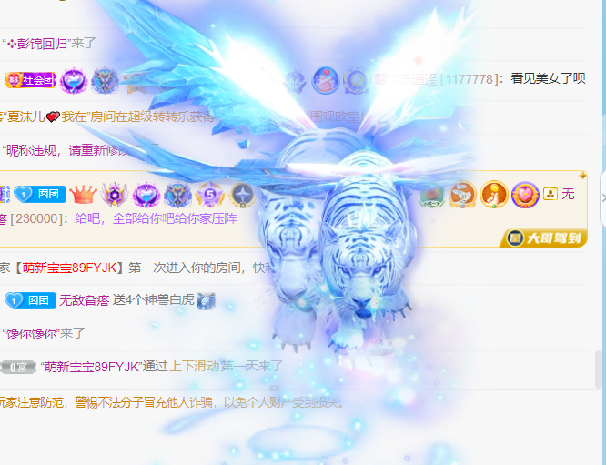 新人囡囡求守护的主播照片