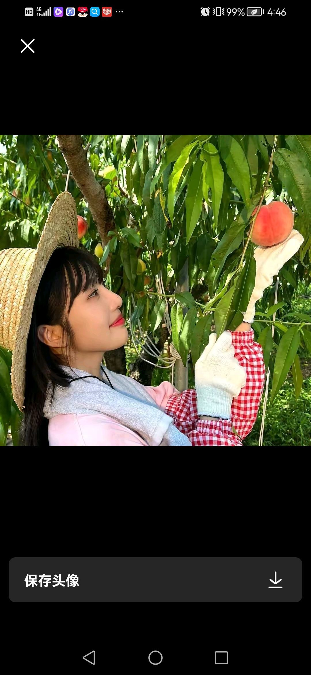 二小阳光的图片