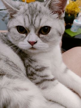 吴小优主播照片