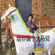 萌新宝宝王桑