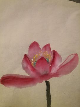 👋掏~主播照片