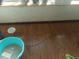 聆听~爱唱歌的图片