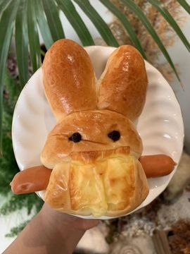 果宝兔🐇主播照片