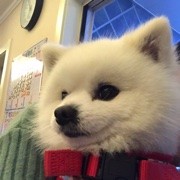 灼热的人生