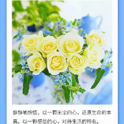 宅兔二