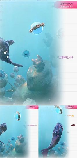 北家心雨主播照片
