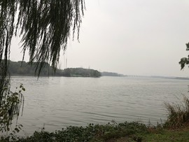 张张美人使劲播主播照片