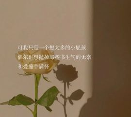 沈知知🌹主播照片