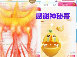 金麒麟安静唱歌🎤主播照片