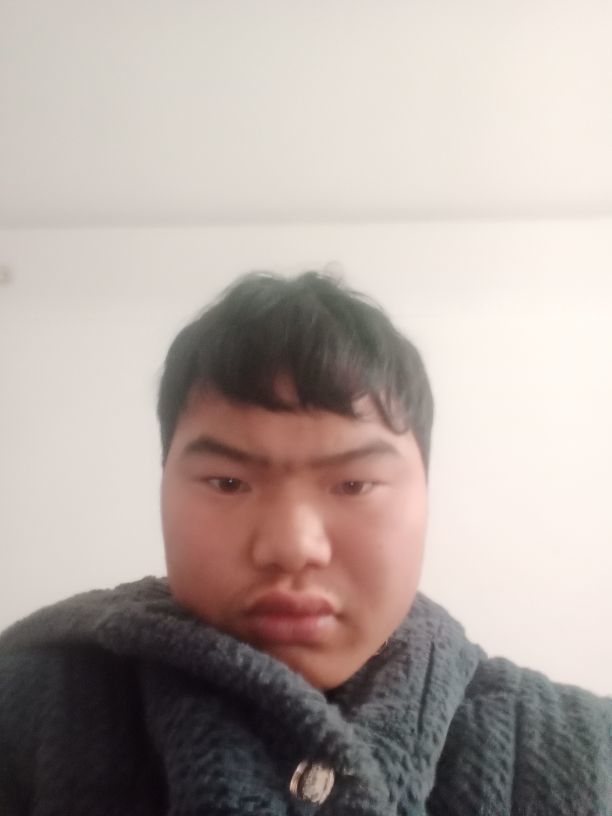 253698685的图片