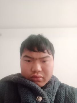 253698685的图片