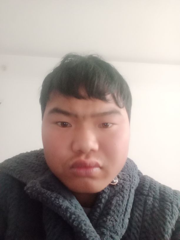 253698685的图片