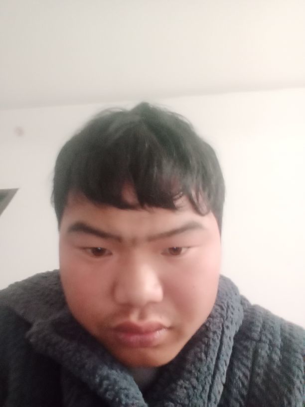 253698685的图片
