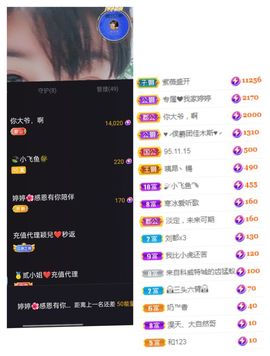 婷求三个火山升级的图片
