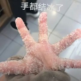 一树梨花压海唐同学☞主播照片