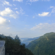 才思敏捷华庭鸟