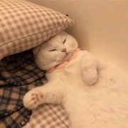 -表哥～