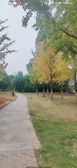婷求三个火山升级的图片