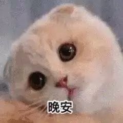 温暖宝宝💰想吃饱饱主播照片