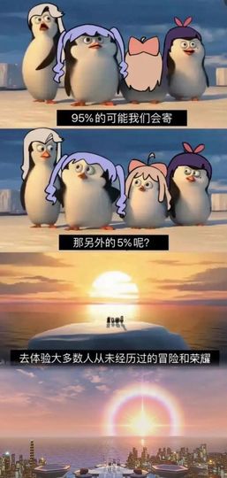 泰山佛光主播照片