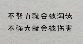 心中无结。。主播照片