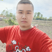 亚里士多德.析的头像