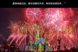 菲儿💗好运来🌈的图片