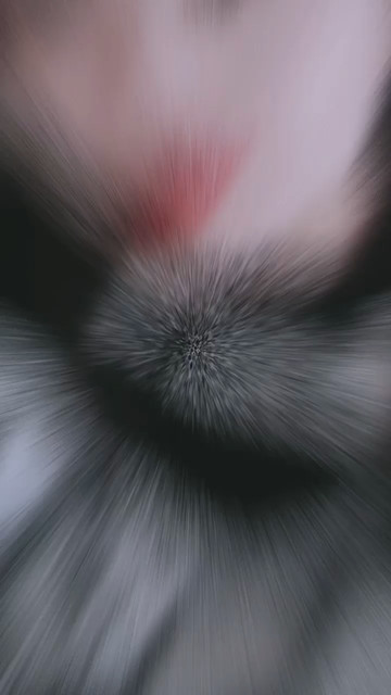 是新年，是新的开始