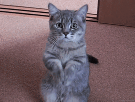 り﹏纳逗づ主播照片