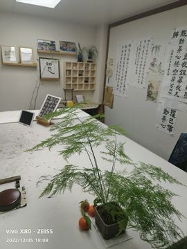 戰神大元帥黎歌主播照片