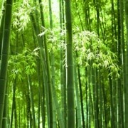 等我清醒以后