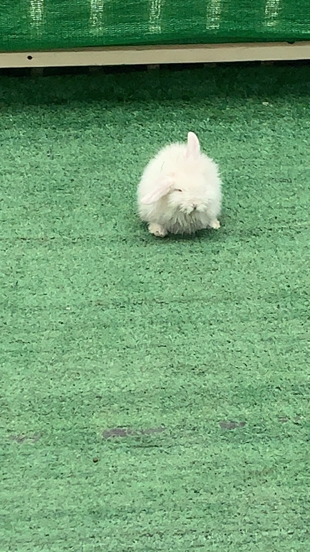 蜡笔木油小新的主播照片