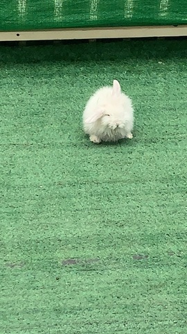 蜡笔木油小新主播照片
