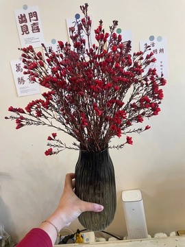 小雅代理ღ招财吖主播照片